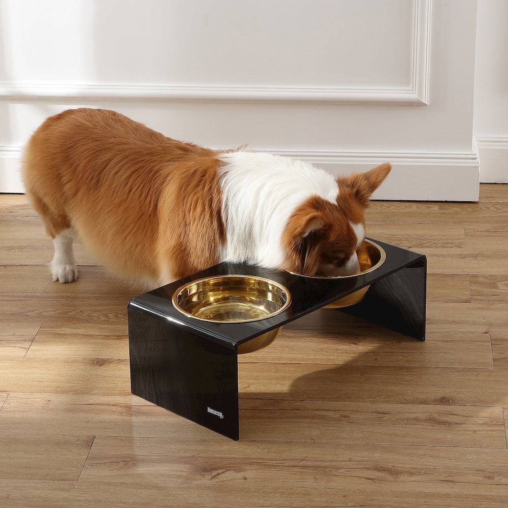 Medium/Large Modern Lucite Rectangular Elevated Pet Feeder. Picture 1