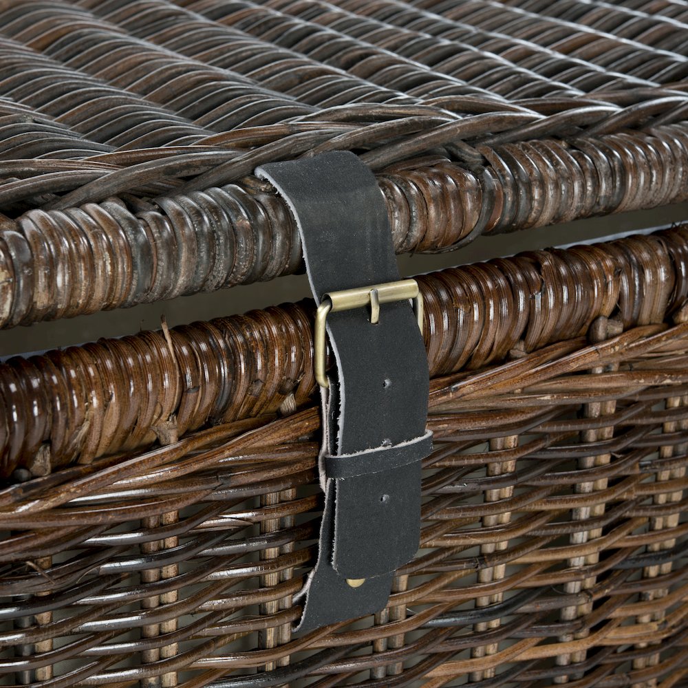 Caden Wicker Storage Trunk. Picture 8
