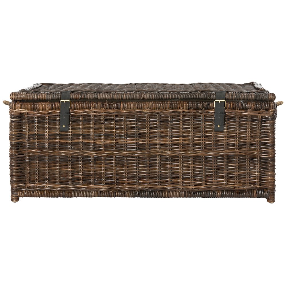Caden Wicker Storage Trunk. Picture 4