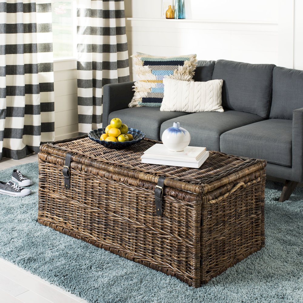 Caden Wicker Storage Trunk. Picture 2