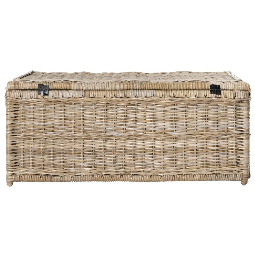 Caden Wicker Storage Trunk. Picture 9