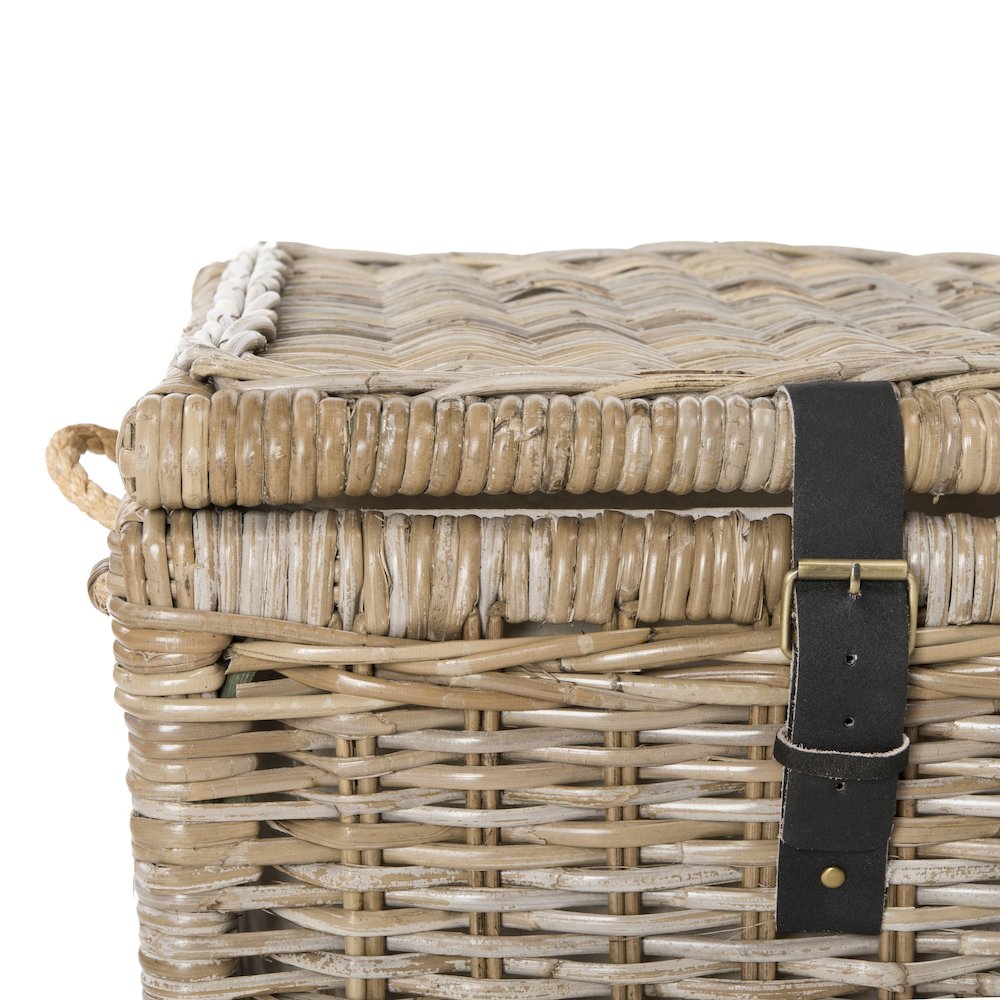 Caden Wicker Storage Trunk. Picture 7