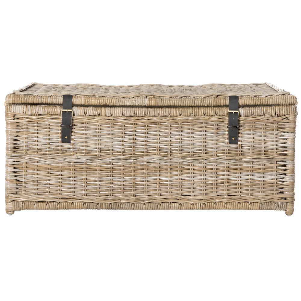 Caden Wicker Storage Trunk. Picture 4