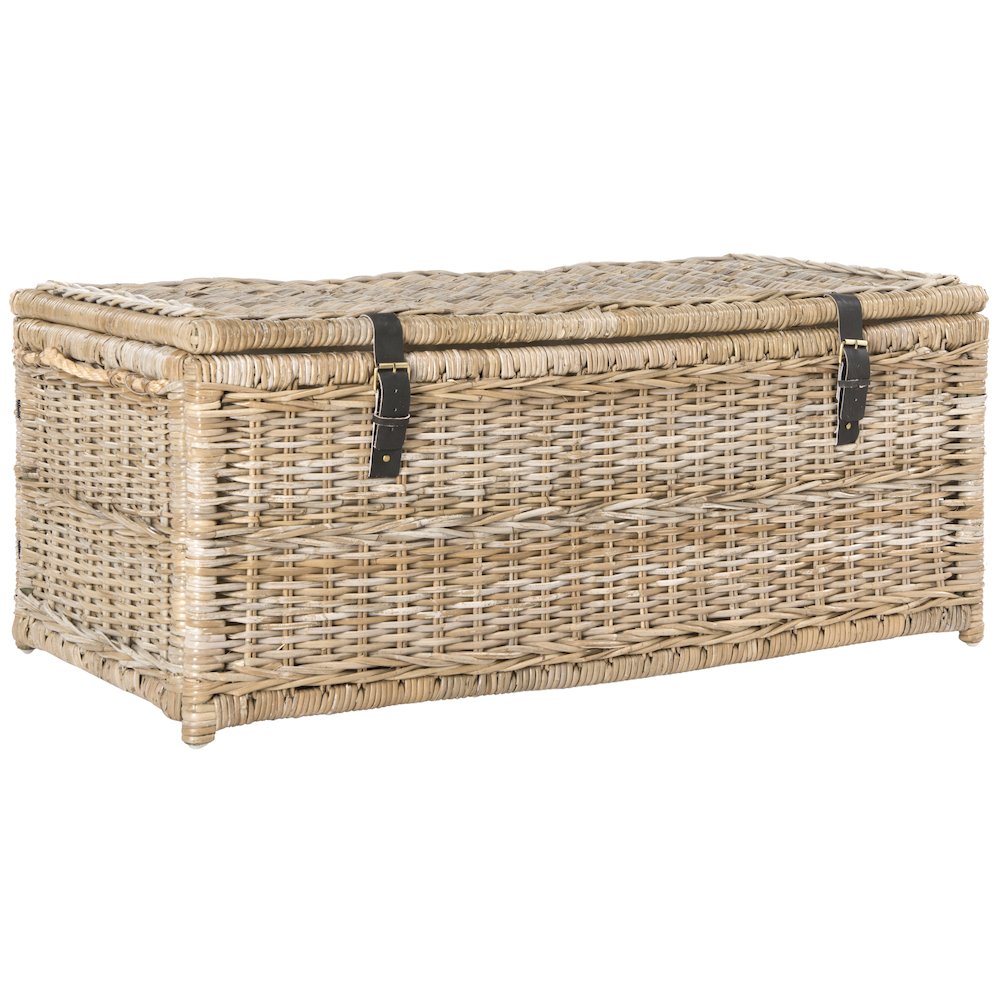 Caden Wicker Storage Trunk. Picture 3