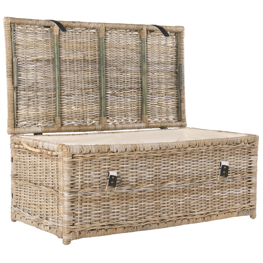 Caden Wicker Storage Trunk. Picture 5