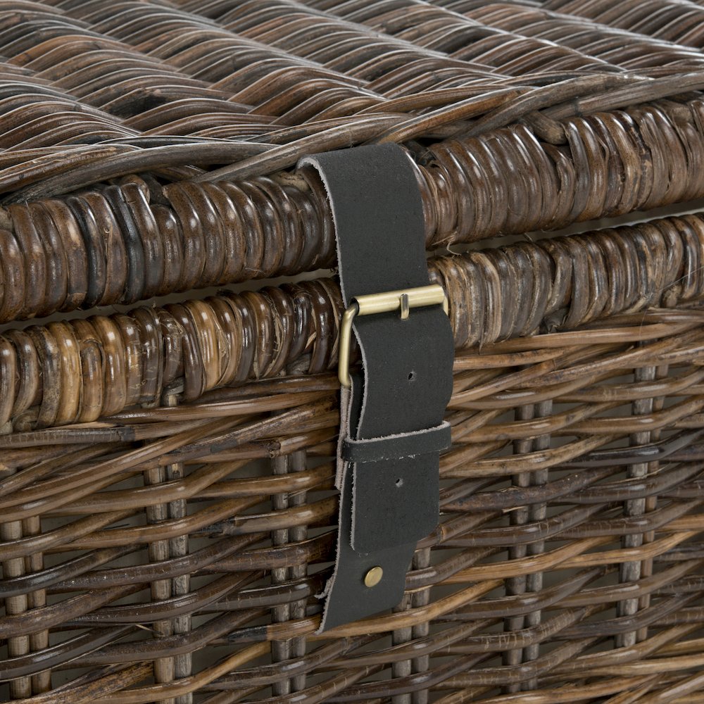 Caden Wicker Storage Trunk. Picture 8