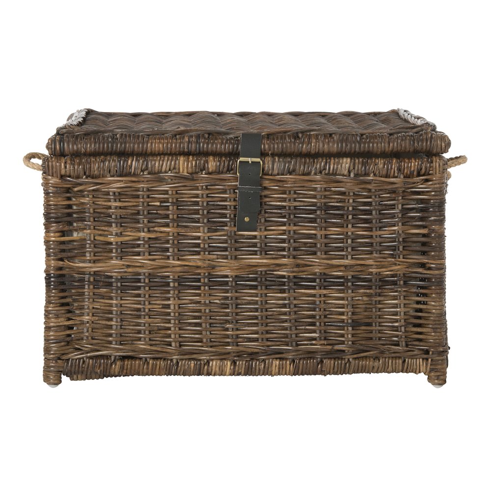 Caden Wicker Storage Trunk. Picture 4