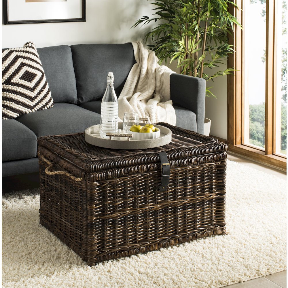 Caden Wicker Storage Trunk. Picture 2