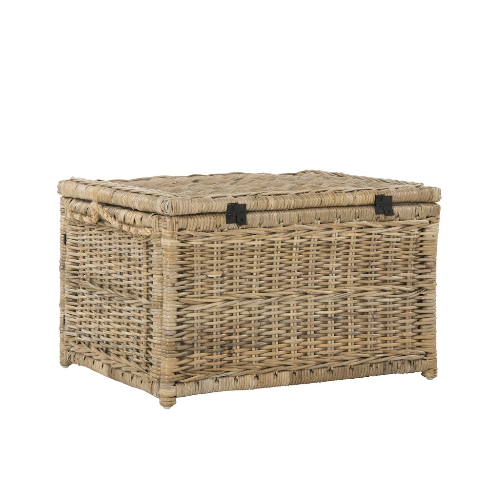 Caden Wicker Storage Trunk. Picture 10