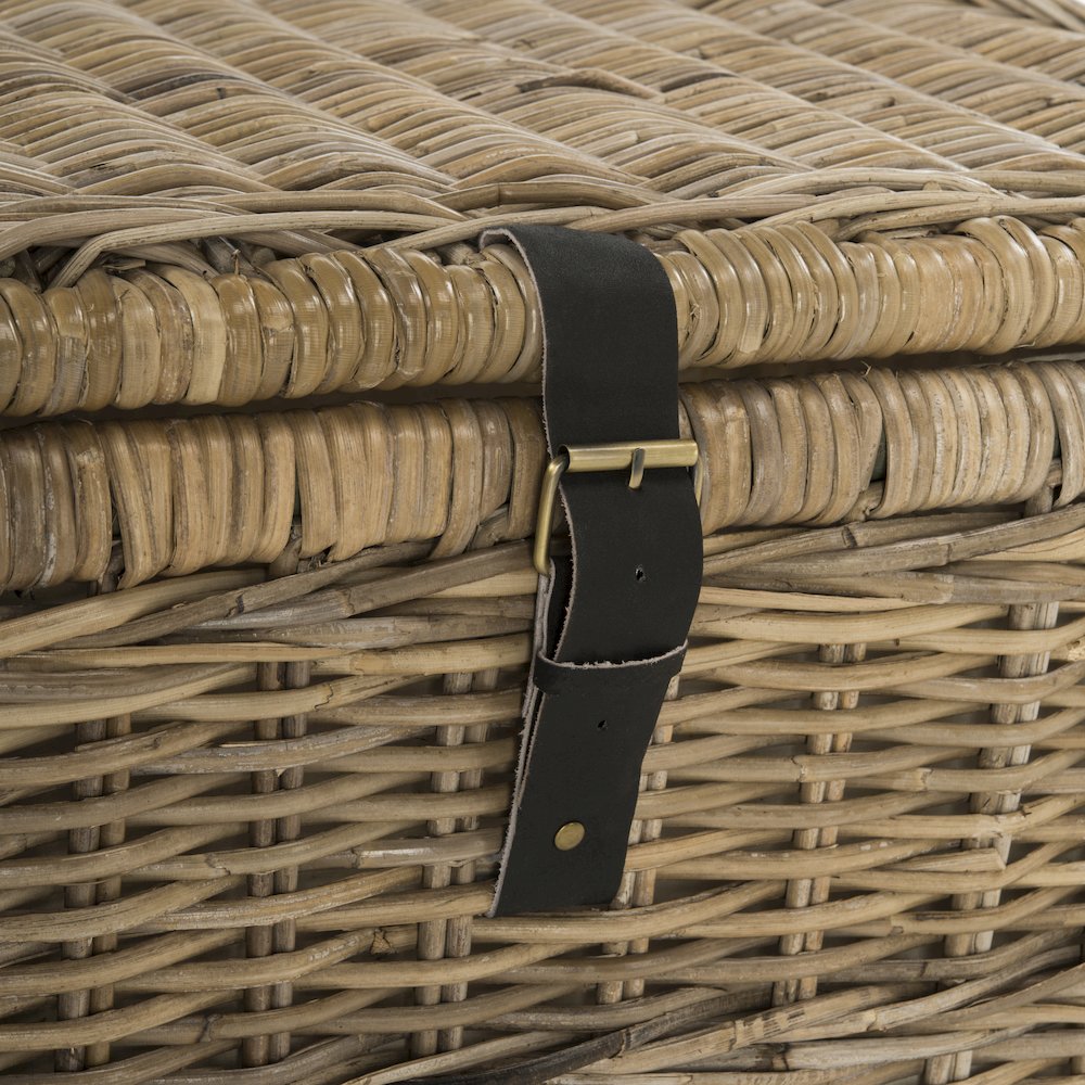 Caden Wicker Storage Trunk. Picture 8
