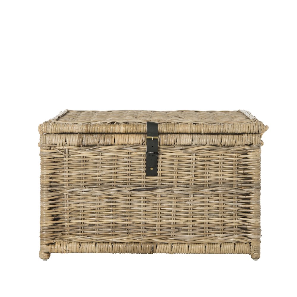 Caden Wicker Storage Trunk. Picture 4