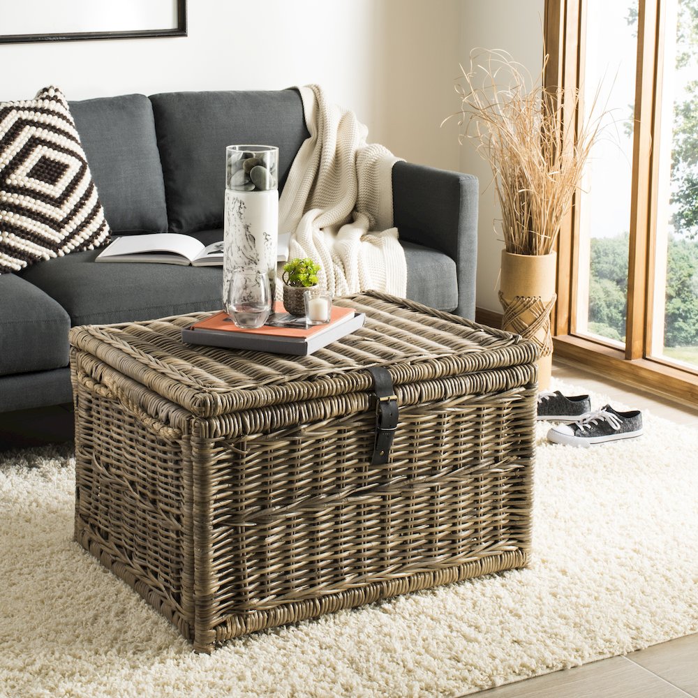 Caden Wicker Storage Trunk. Picture 2