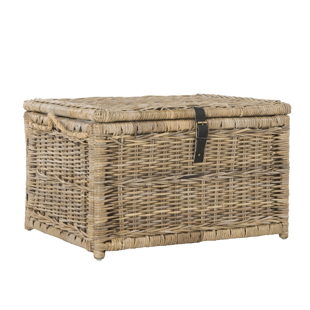 Caden Wicker Storage Trunk. Picture 3
