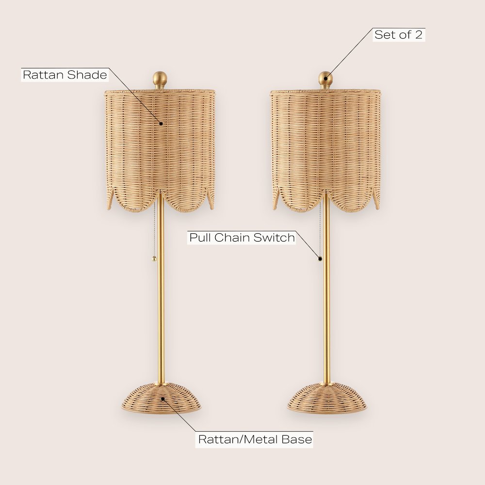 Celerie Coastal Bohemian Rattan/Iron Scalloped Buffet Led Table Lamp. Picture 5
