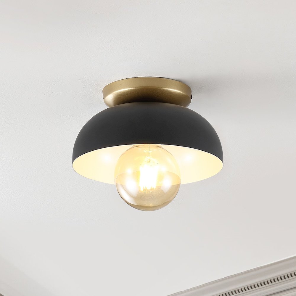 Paulina Classic Industrial Iron Led Flush Mount. Picture 5