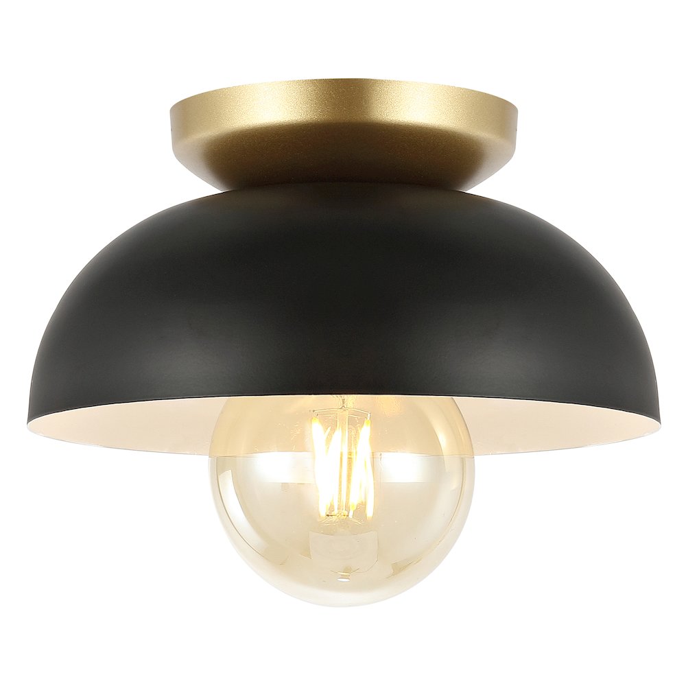 Paulina Classic Industrial Iron Led Flush Mount. Picture 4