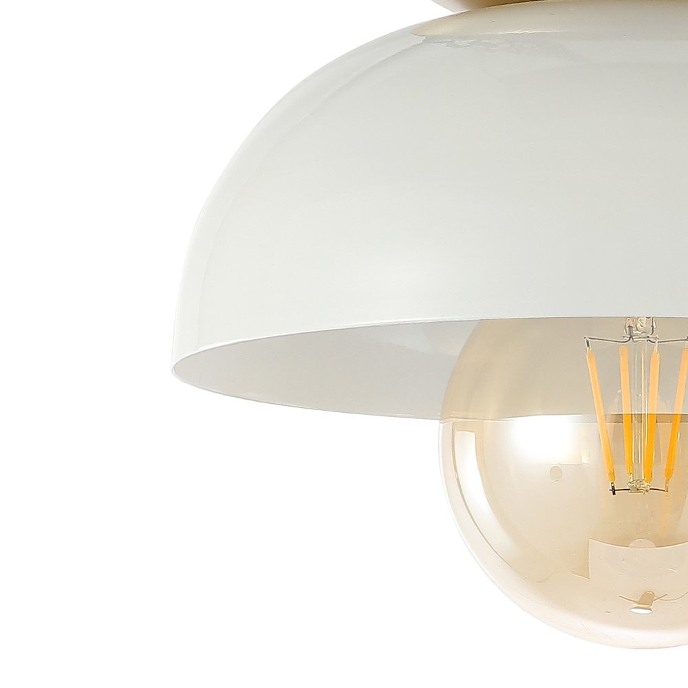 Paulina Classic Industrial Iron Led Flush Mount. Picture 2