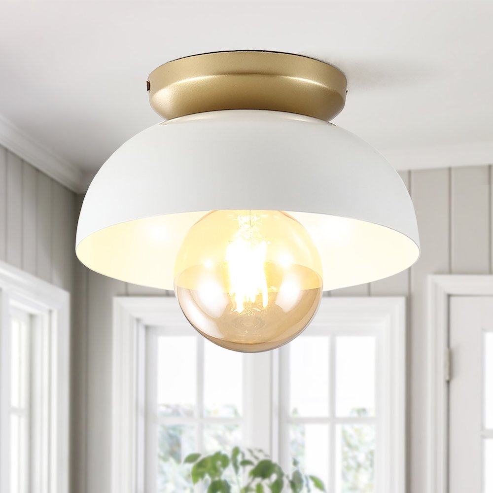 Paulina Classic Industrial Iron Led Flush Mount. Picture 7