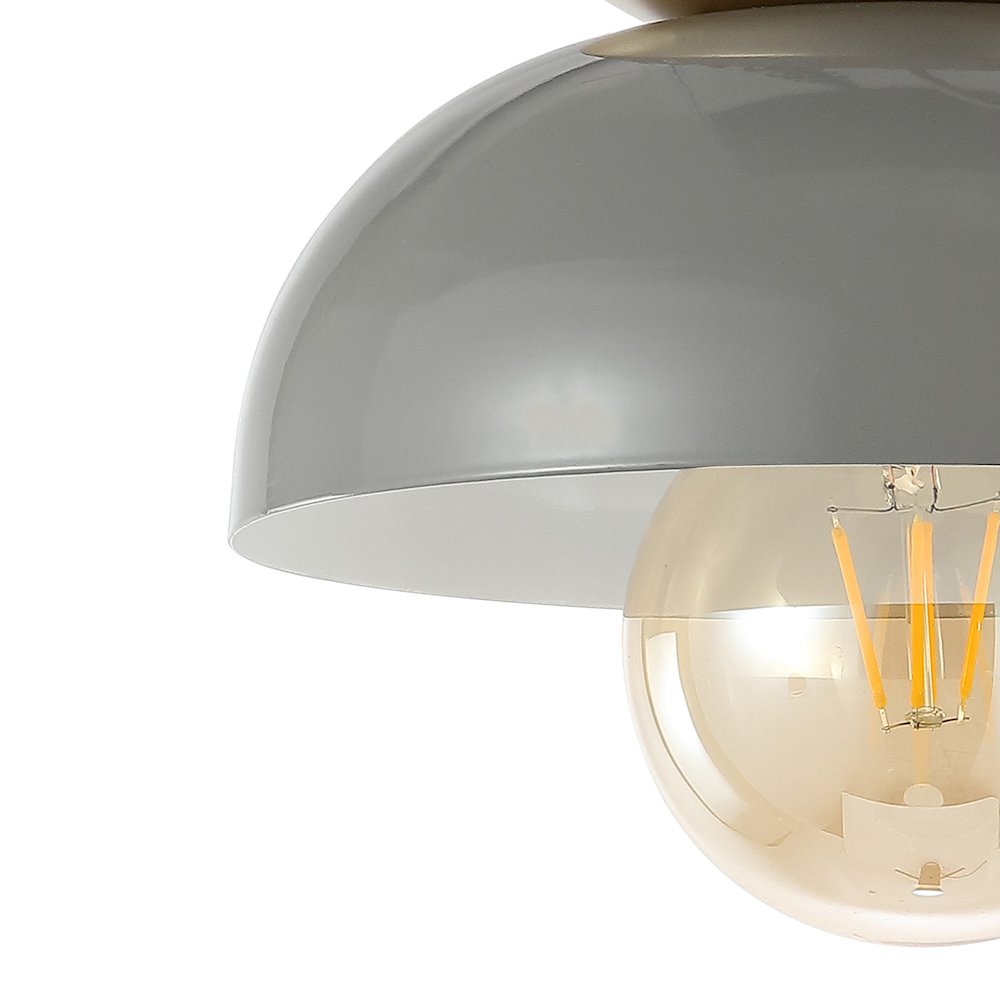 Paulina Classic Industrial Iron Led Flush Mount. Picture 2