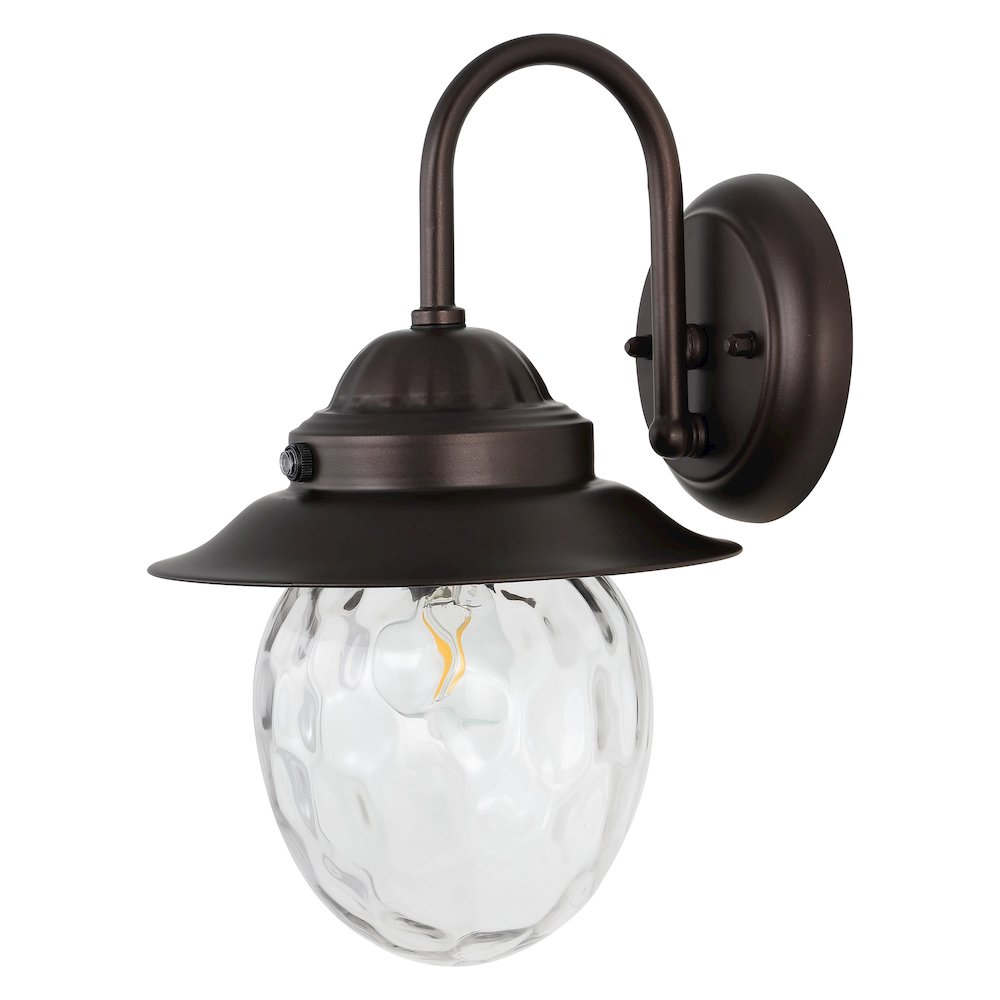 Rodanthe Farmhouse Industrial Iron/Glass Outdoor Led Sconce. Picture 1