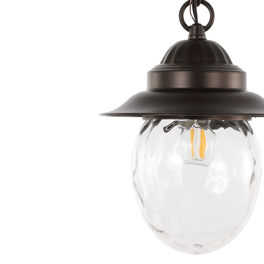 Manteo Farmhouse Industrial Iron/Glass Outdoor Led Pendant. Picture 2