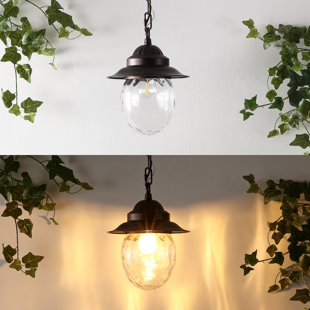 Manteo Farmhouse Industrial Iron/Glass Outdoor Led Pendant. Picture 8