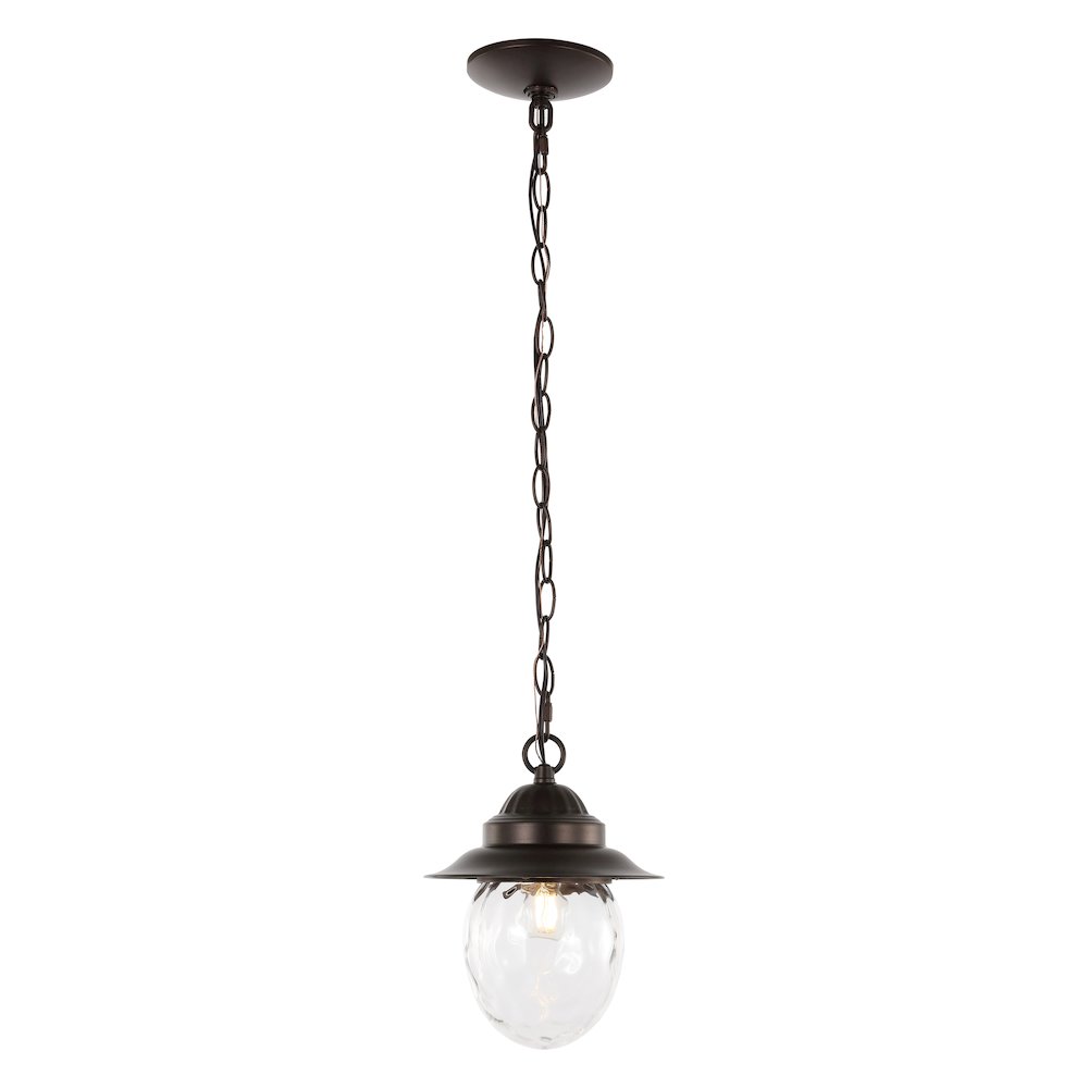 Manteo Farmhouse Industrial Iron/Glass Outdoor Led Pendant. Picture 5