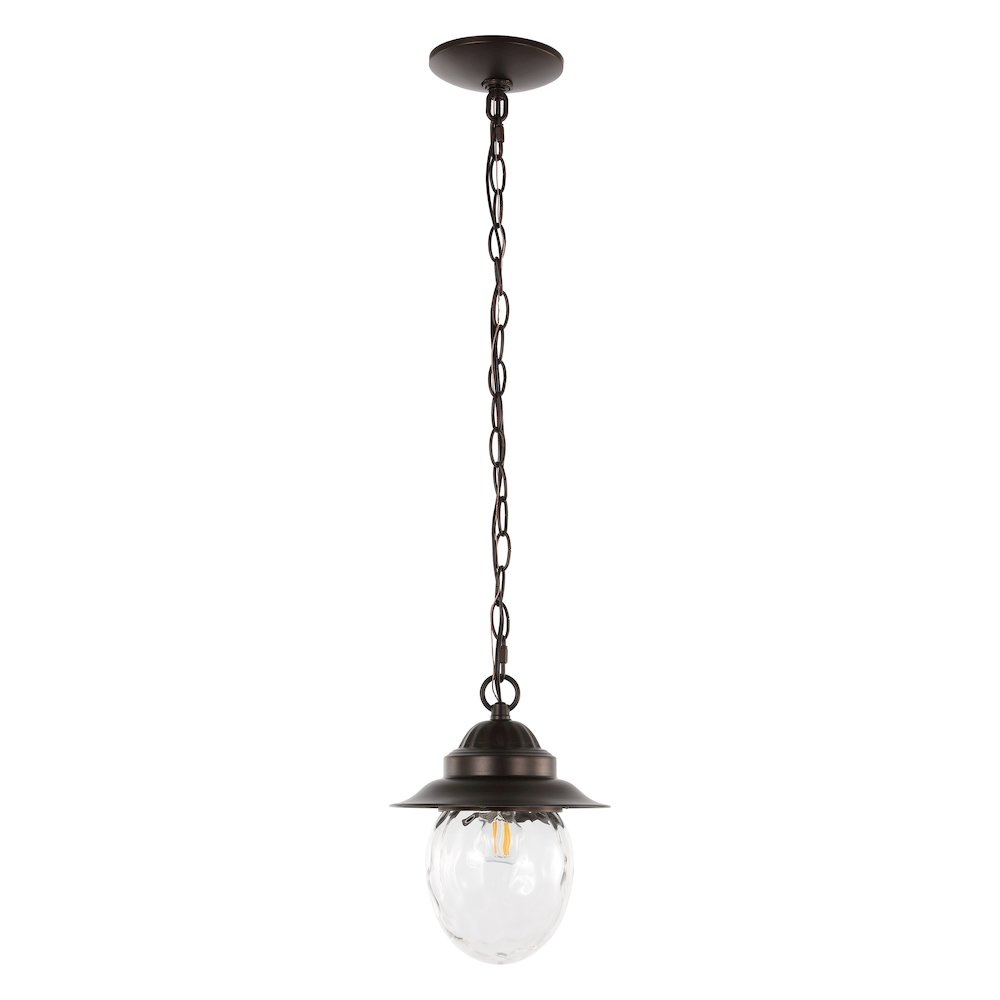 Manteo Farmhouse Industrial Iron/Glass Outdoor Led Pendant. Picture 1