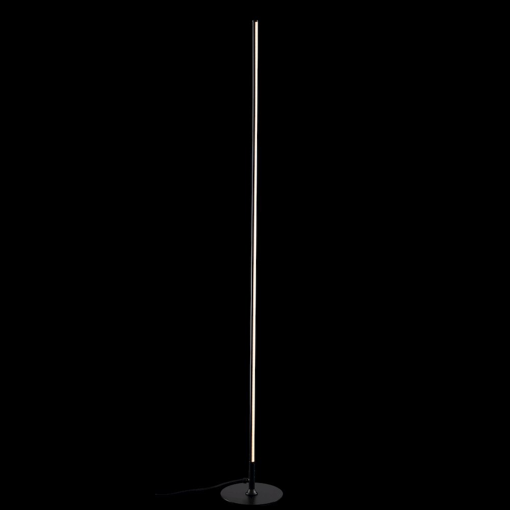Iris Led Integrated Floor Lamp. Picture 3