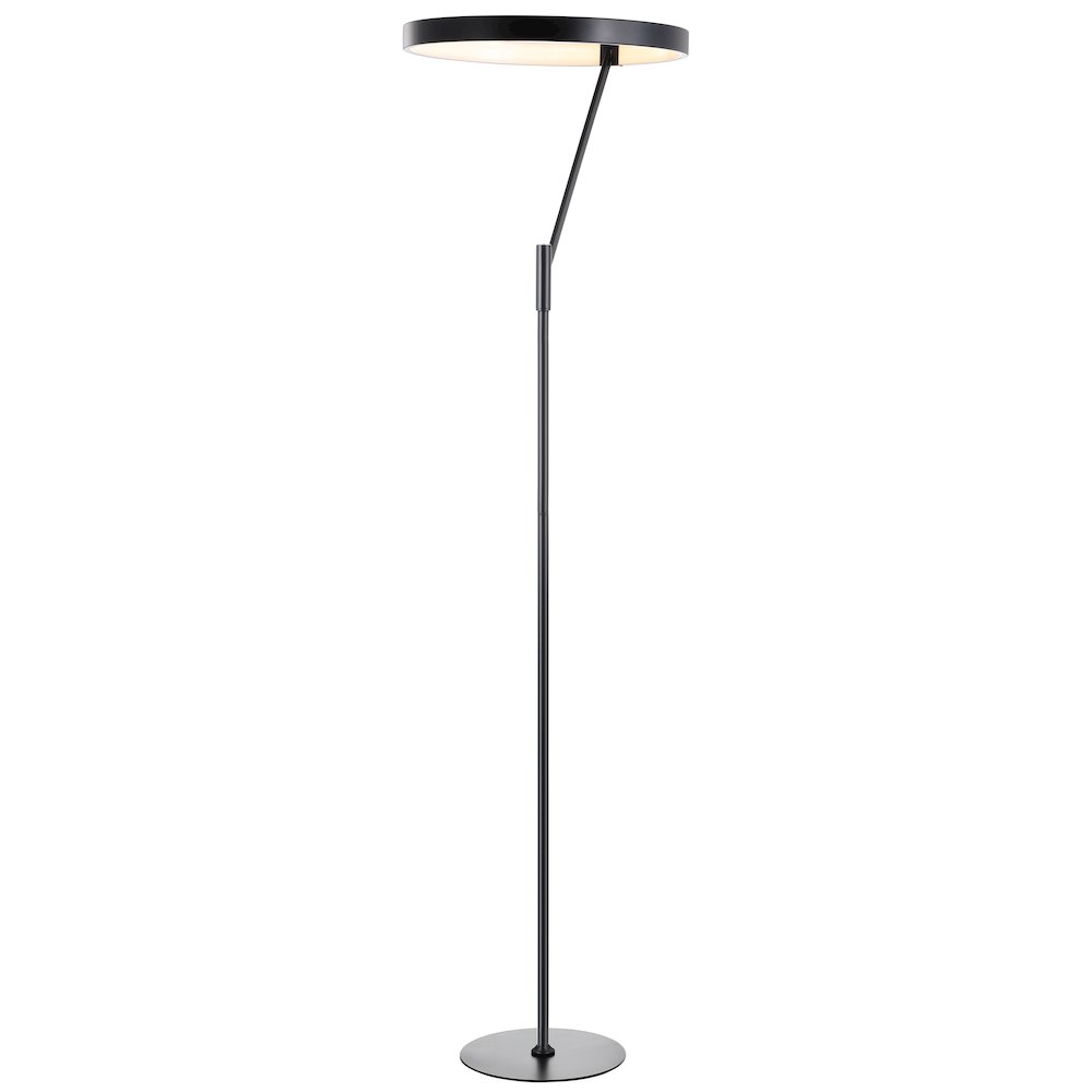 Owen Integrated Led Metal Floor Lamp. Picture 1