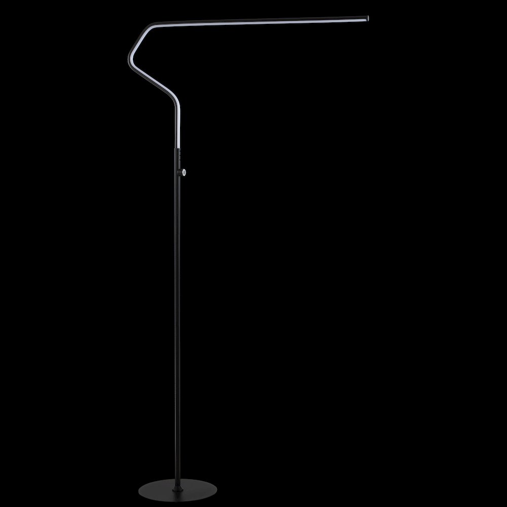 Julian Integrated Led Metal Floor Lamp. Picture 4
