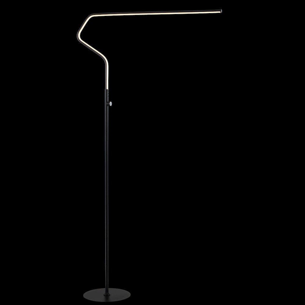 Julian Integrated Led Metal Floor Lamp. Picture 3