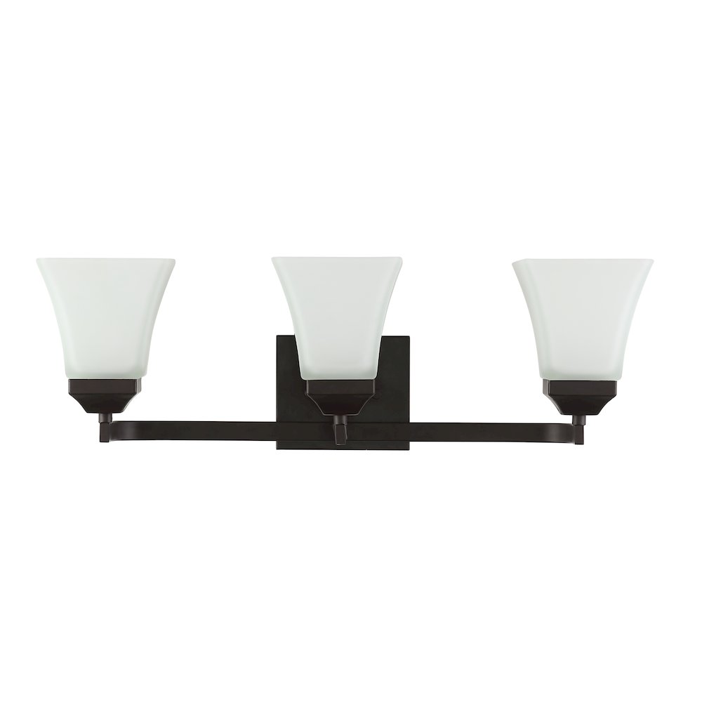 Staunton Iron/Glass Modern Cottage Led Vanity Light. Picture 9