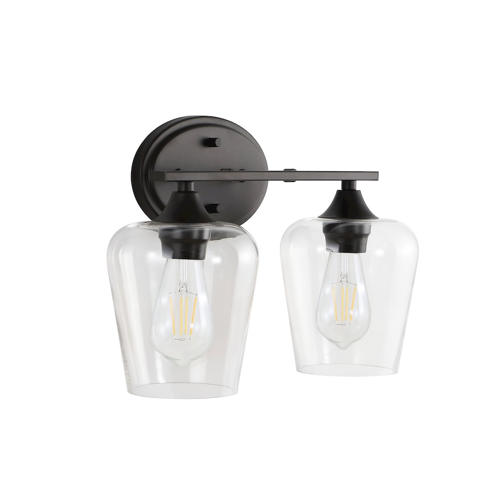 Jayne Iron/Glass Cottage Rustic Led Vanity Light. Picture 7
