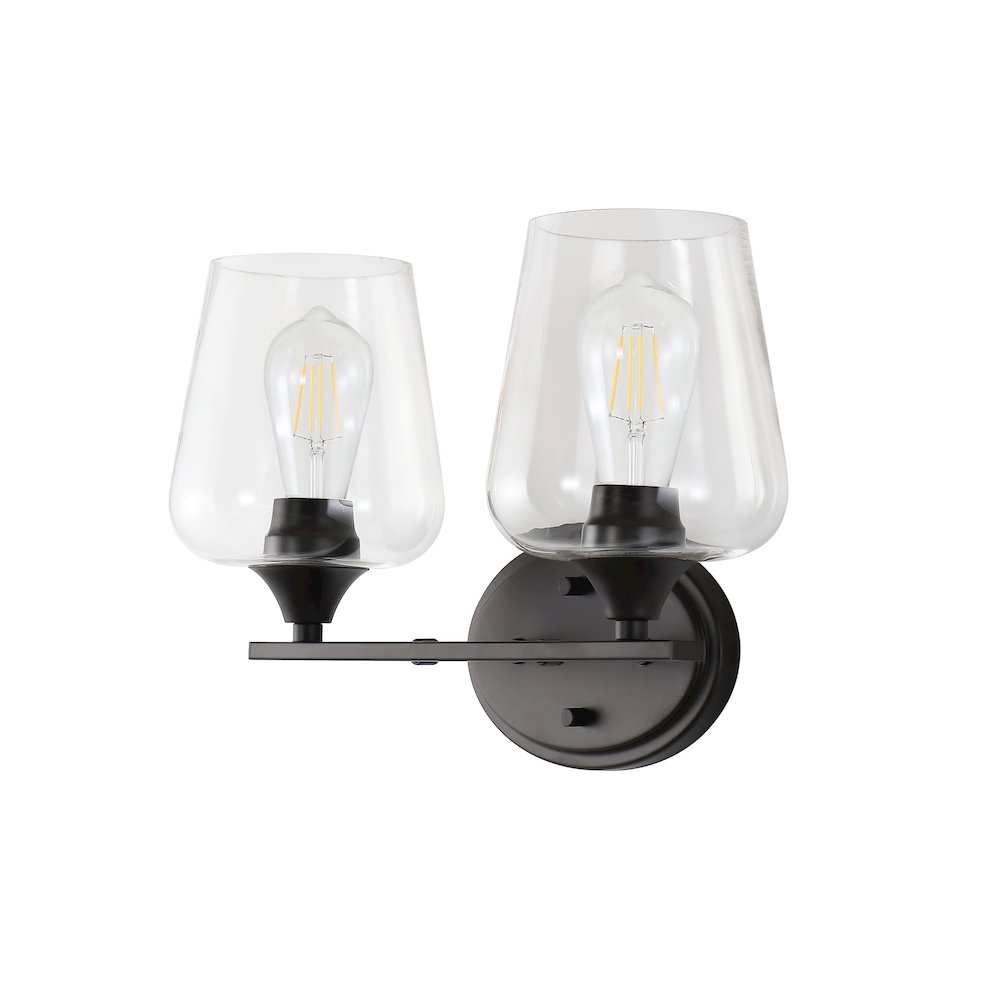 Jayne Iron/Glass Cottage Rustic Led Vanity Light. Picture 8