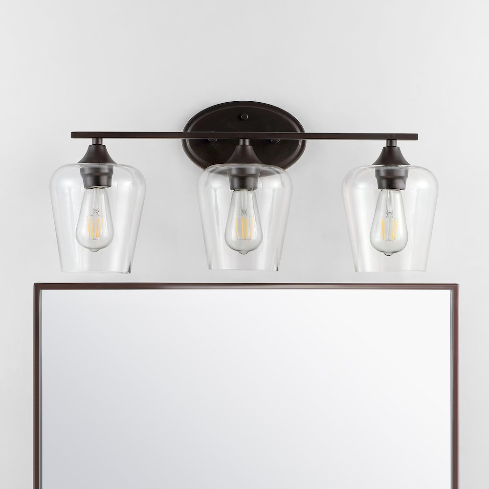 Jayne Iron/Glass Cottage Rustic Led Vanity Light. Picture 12