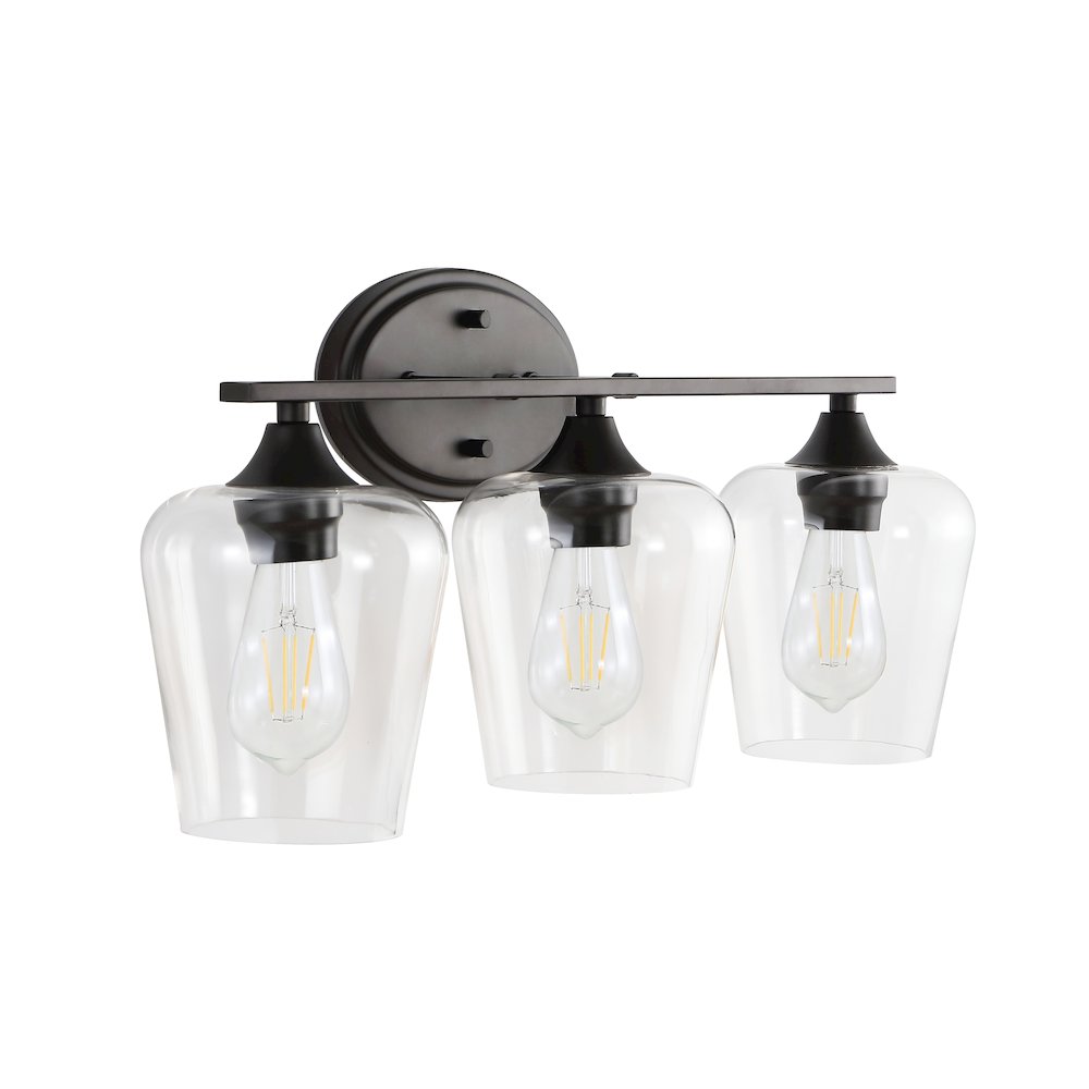 Jayne Iron/Glass Cottage Rustic Led Vanity Light. Picture 7