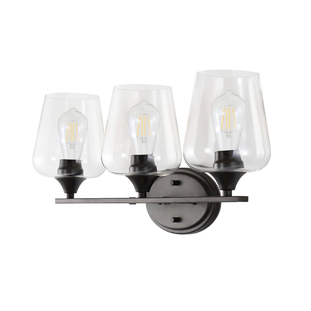 Jayne Iron/Glass Cottage Rustic Led Vanity Light. Picture 8