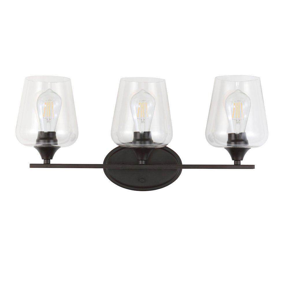 Jayne Iron/Glass Cottage Rustic Led Vanity Light. Picture 10