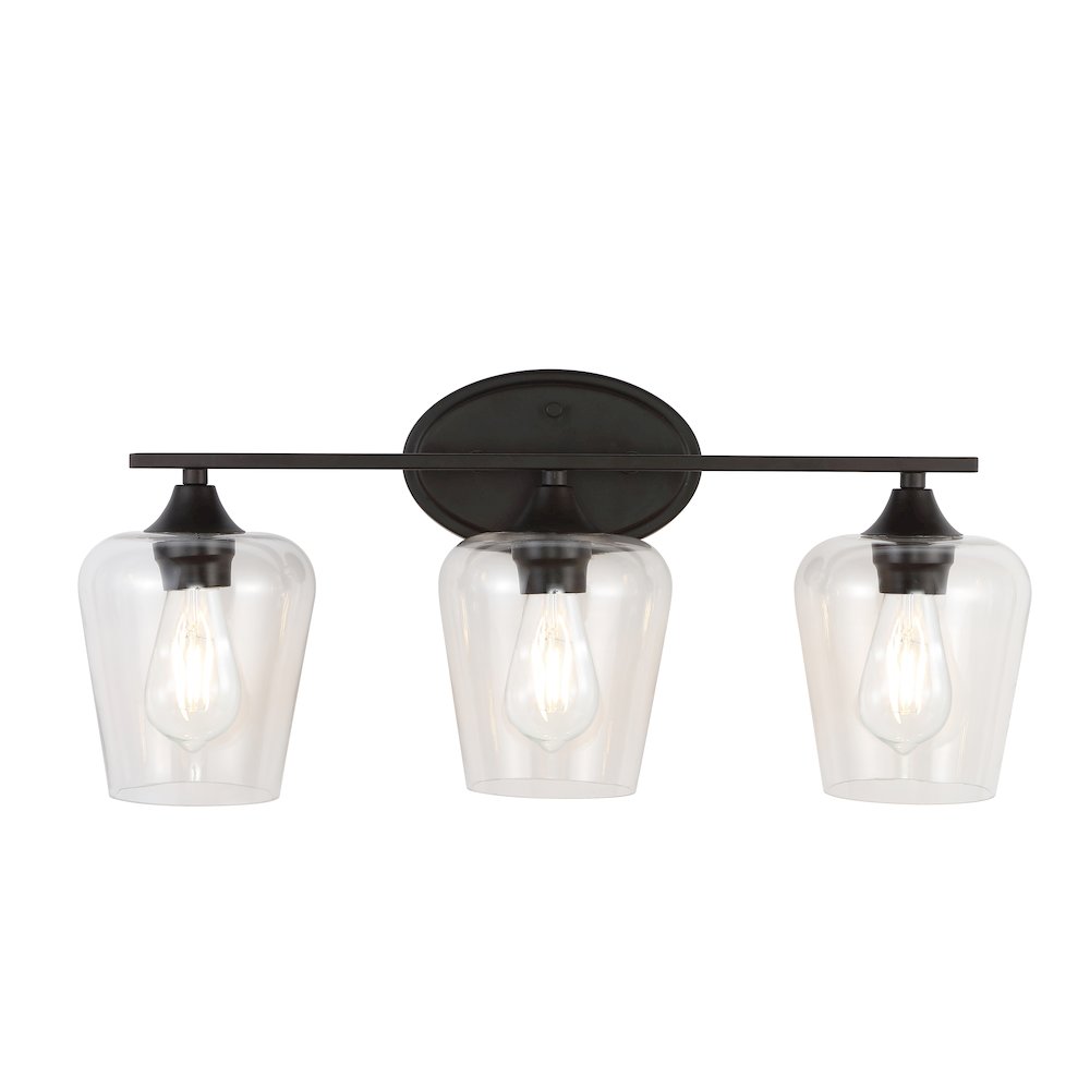 Jayne Iron/Glass Cottage Rustic Led Vanity Light. Picture 1