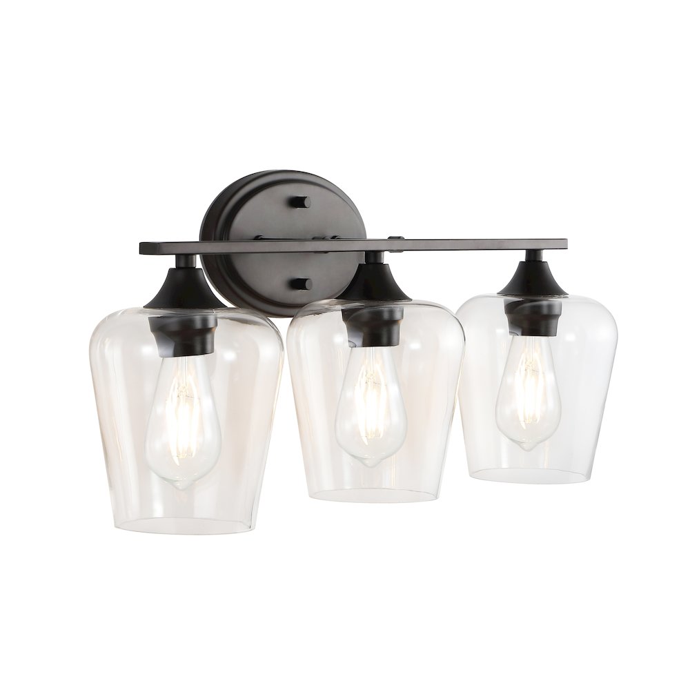 Jayne Iron/Glass Cottage Rustic Led Vanity Light. Picture 5