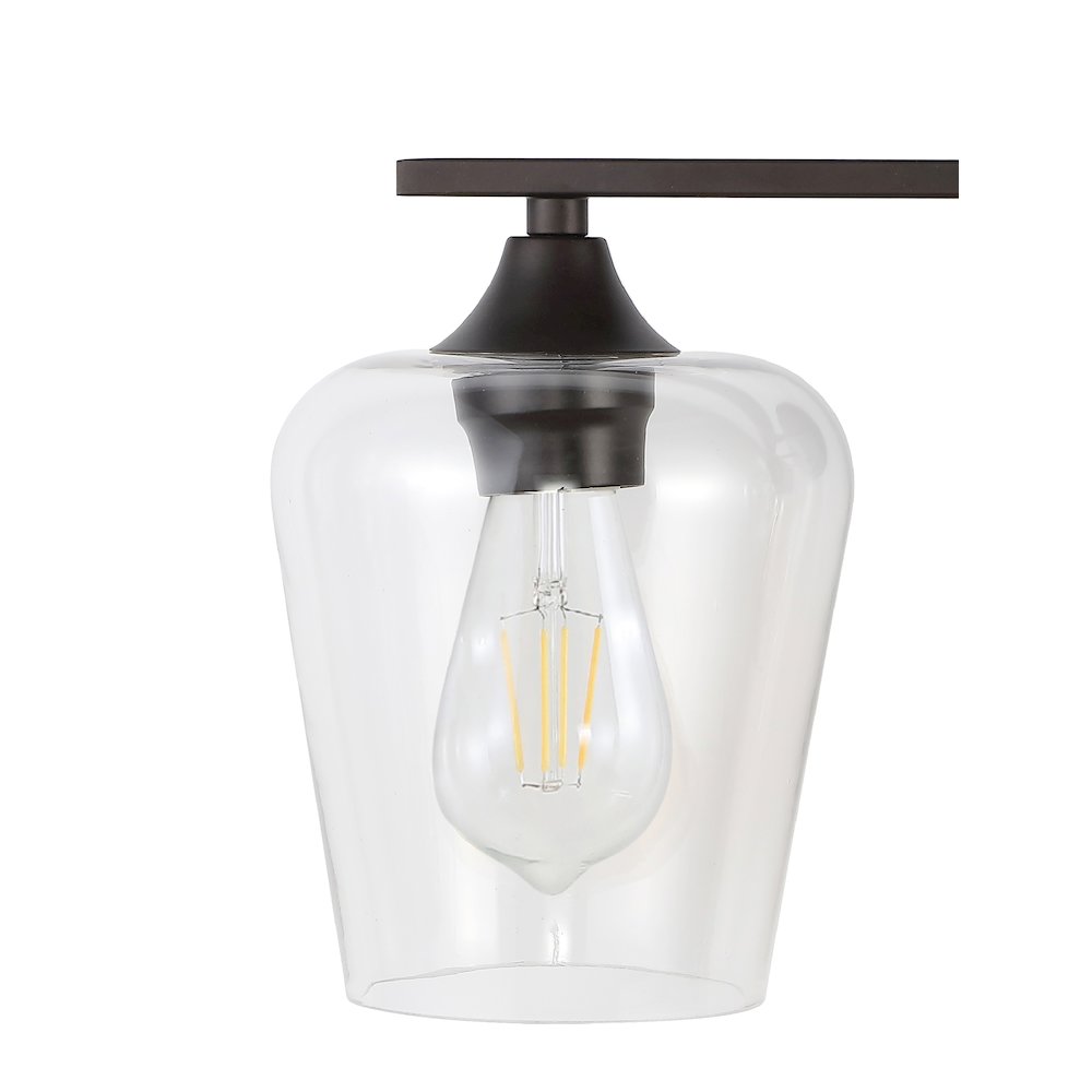 Jayne Iron/Glass Cottage Rustic Led Vanity Light. Picture 3