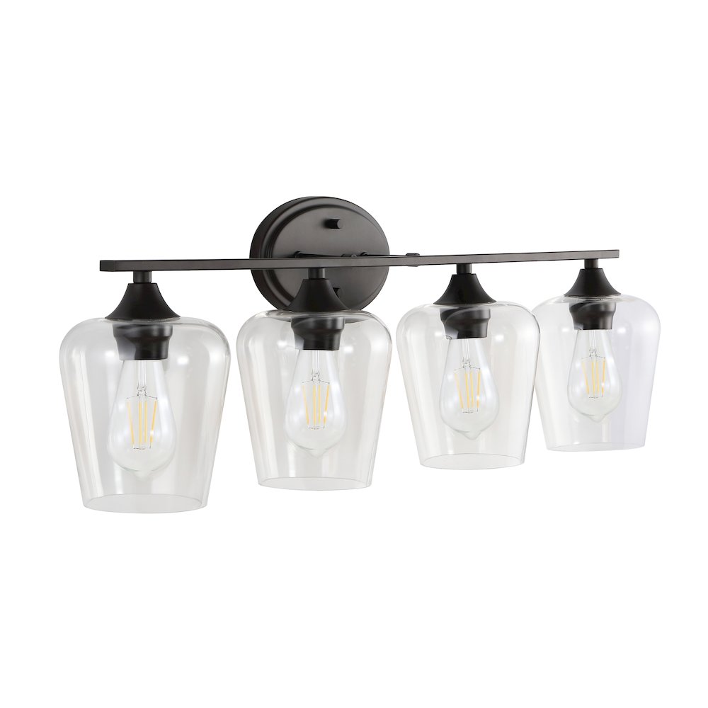 Jayne Iron/Glass Cottage Rustic Led Vanity Light. Picture 7