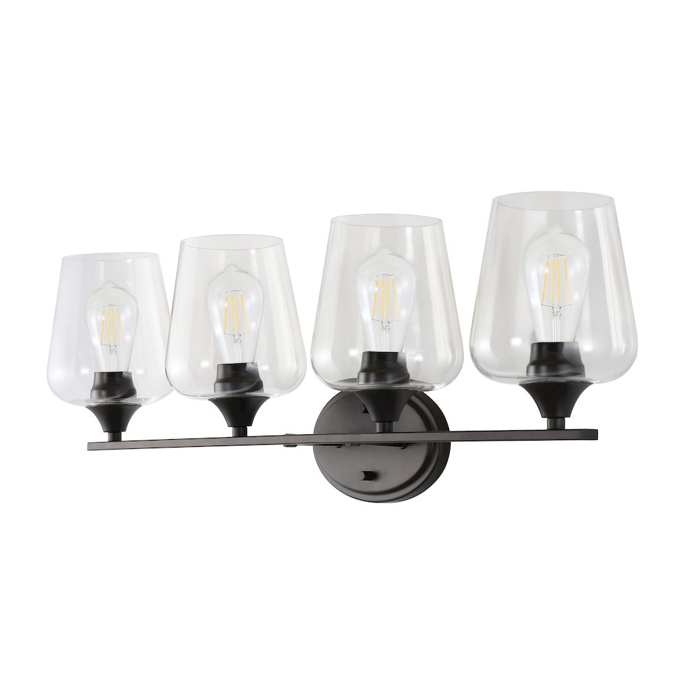 Jayne Iron/Glass Cottage Rustic Led Vanity Light. Picture 8