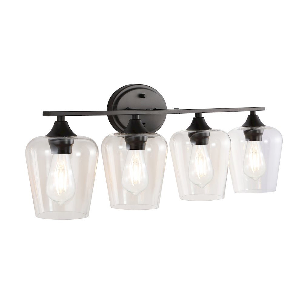 Jayne Iron/Glass Cottage Rustic Led Vanity Light. Picture 5