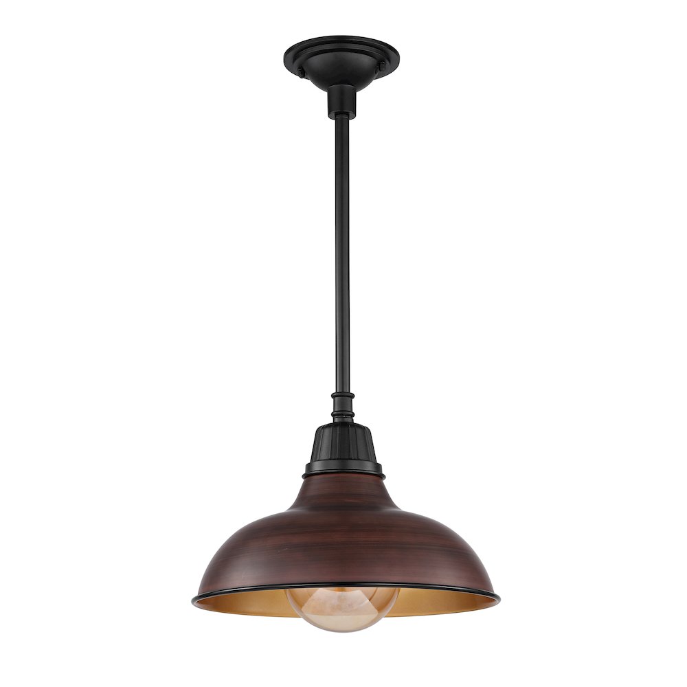 Jasper Farmhouse Industrial Indoor/Outdoor Iron Led Pendant. Picture 3