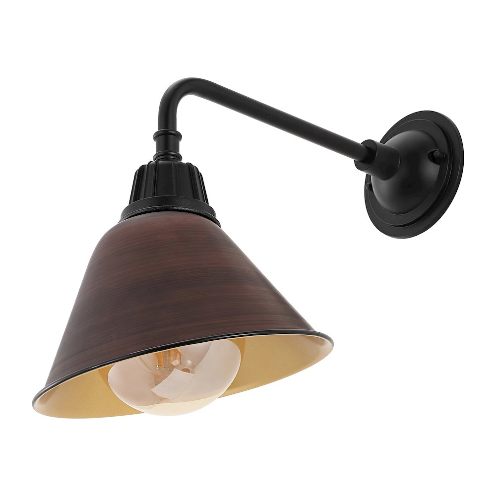 Industrial Indoor/Outdoor Iron Led Gooseneck Arm Outdoor Sconce. Picture 1