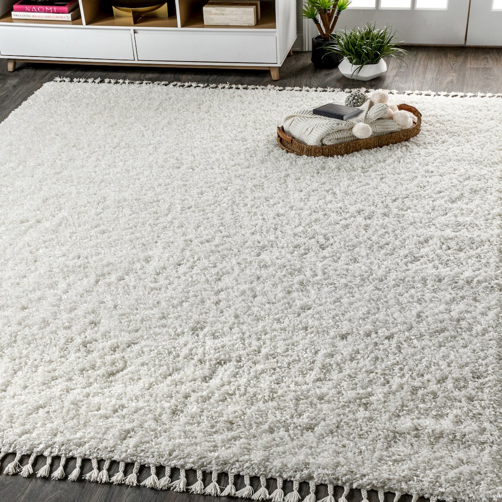 Mercer Shag Plush Tassel Area Rug. Picture 2