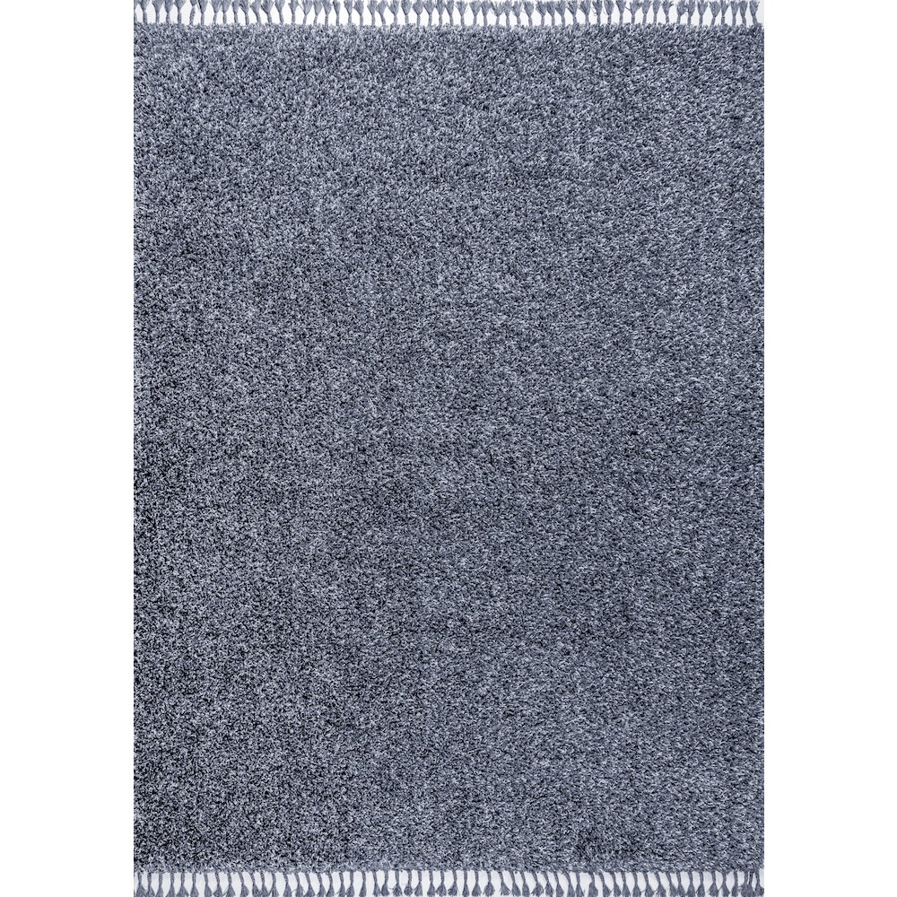 Mercer Shag Plush Tassel Area Rug. Picture 1