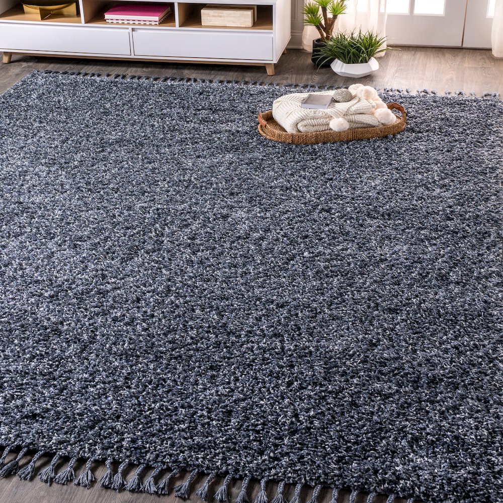 Mercer Shag Plush Tassel Area Rug. Picture 2